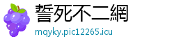 誓死不二網